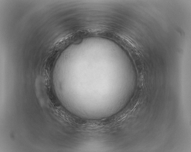 X0000115770917200912041428