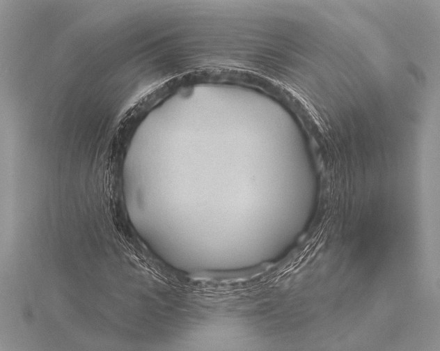 X0000115770919200912041428