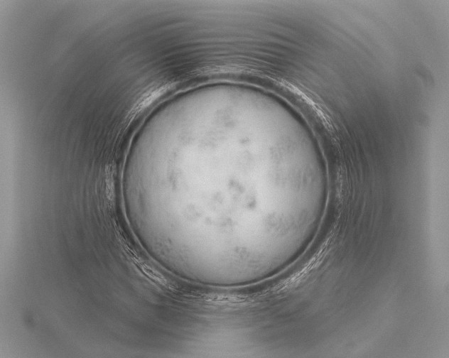 X0000115770921200912041428