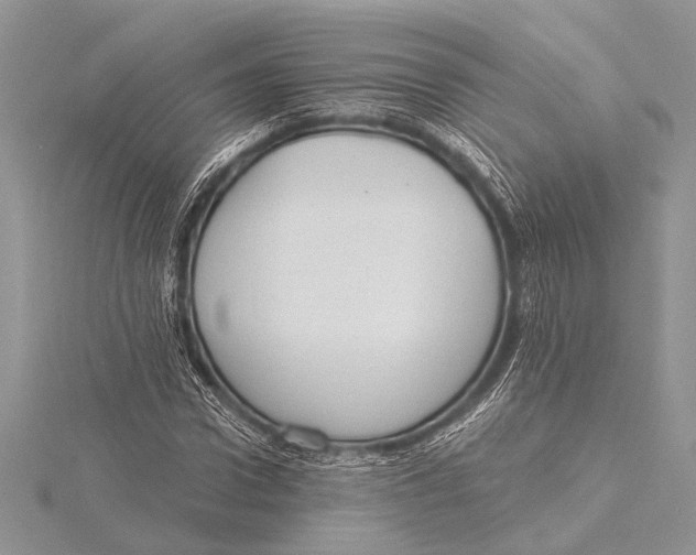 X0000115770922200912041428