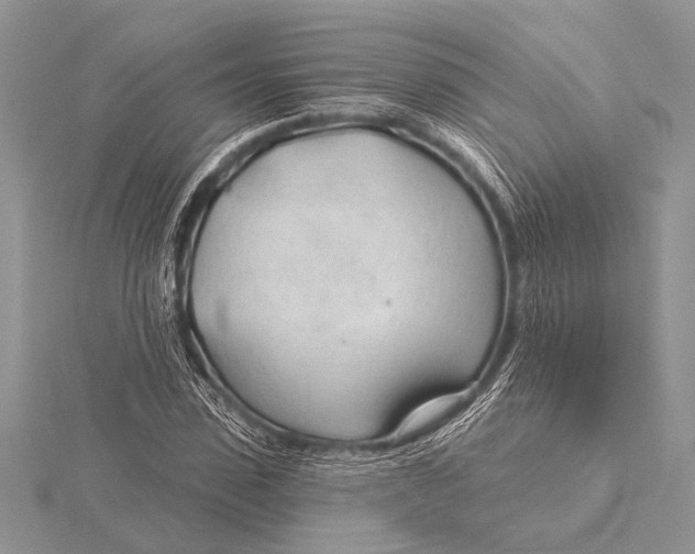 X0000115770923200912041428