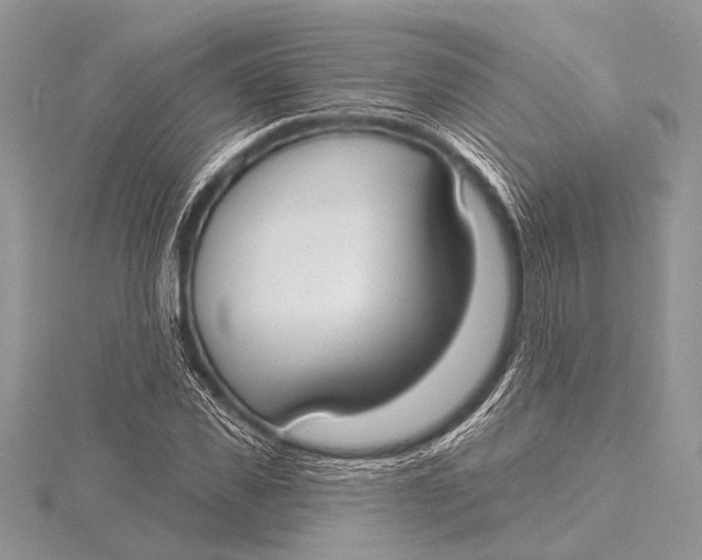 X0000115770925200912041428