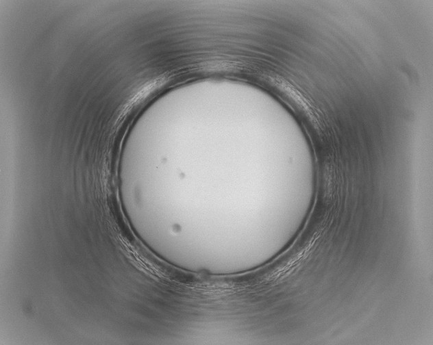 X0000115770930200912041428