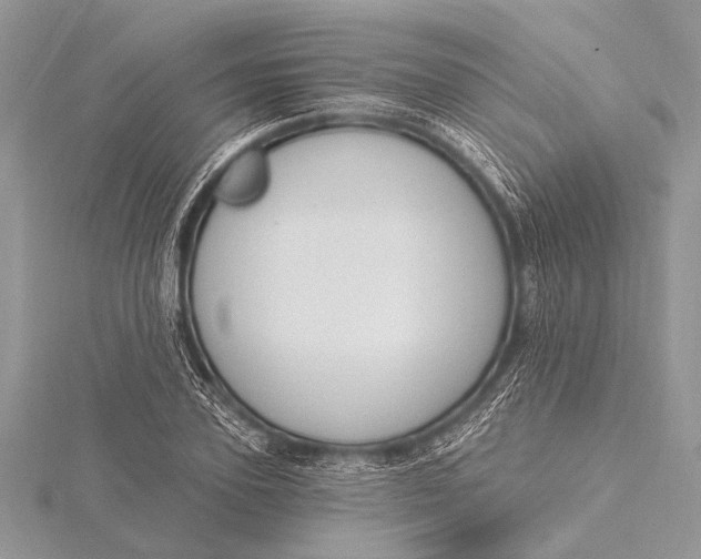 X0000115770931200912041428