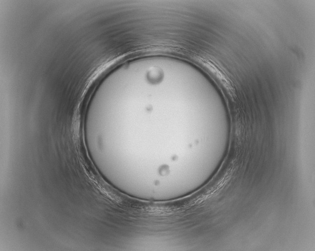 X0000115770933200912041428