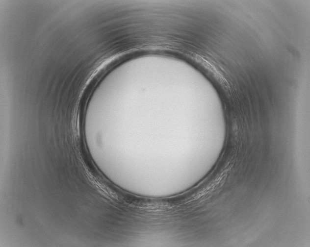 X0000115770934200912041428