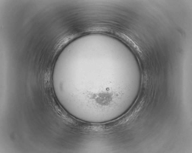 X0000115770937200912041428