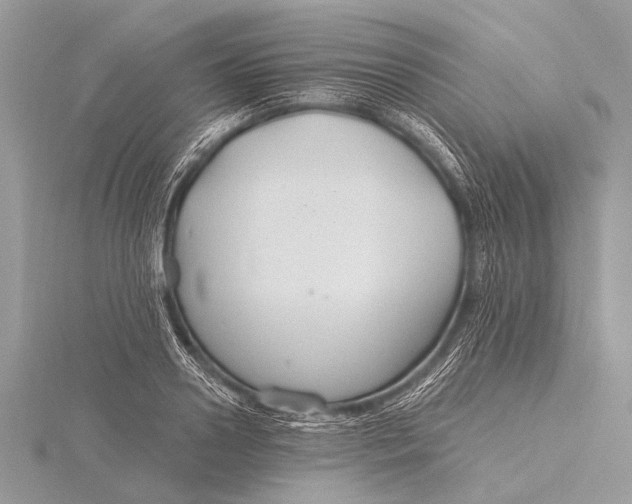 X0000115770938200912041428