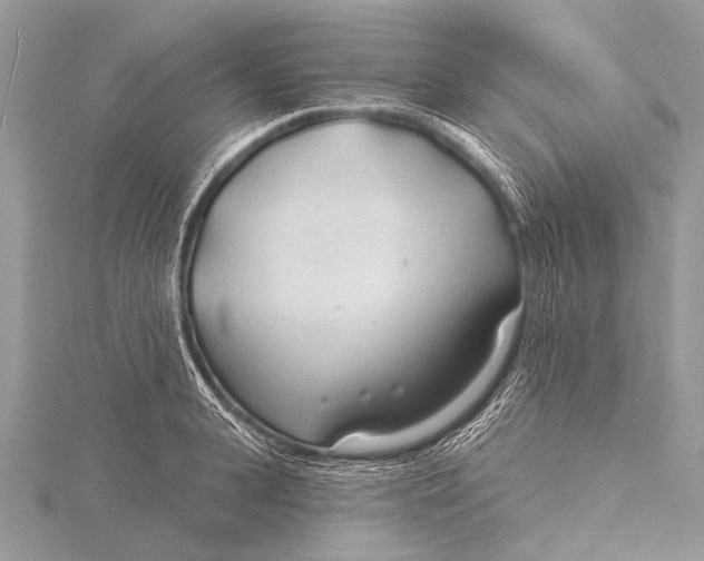 X0000115770943200912041428