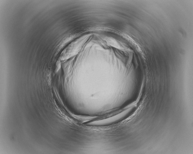 X0000115770945200912041429