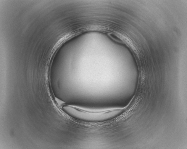 X0000115770946200912041429