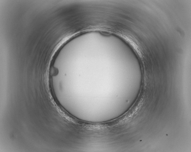 X0000115770949200912041429