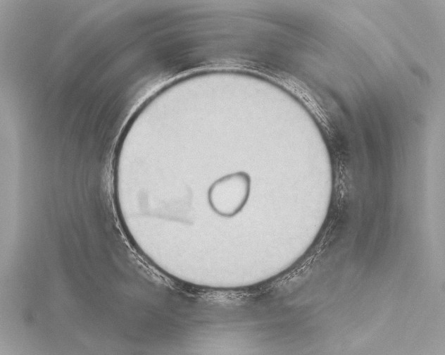 X0000115770950200912041429