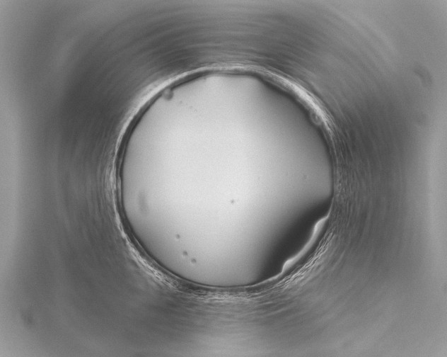 X0000115770951200912041429