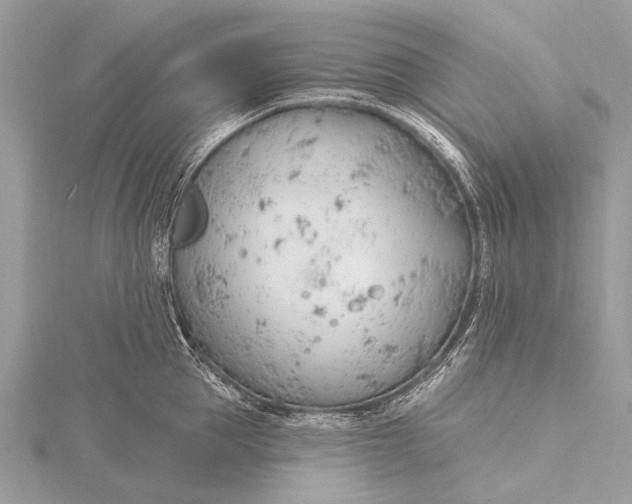 X0000115770953200912041429