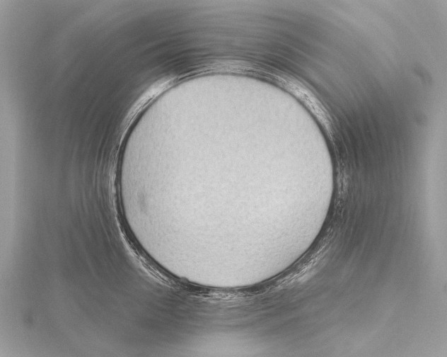 X0000115770954200912041429