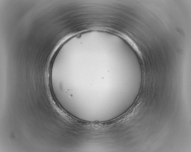 X0000115770955200912041429