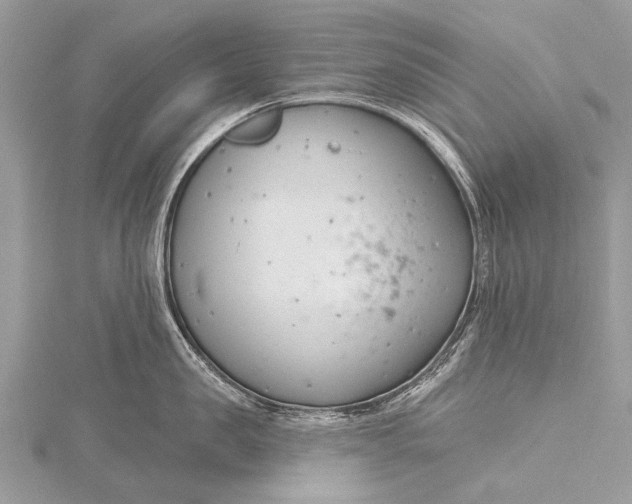 X0000115770957200912041429