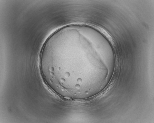 X0000115770958200912041429