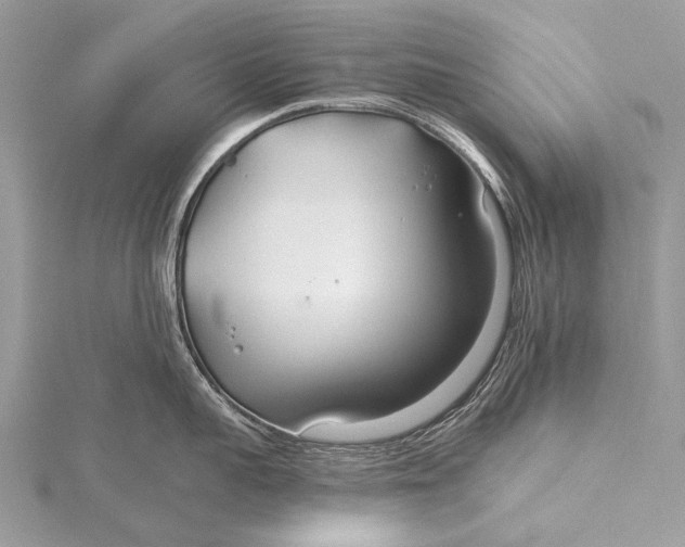 X0000115770959200912041429