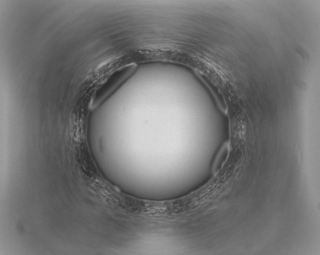 X0000115770965200912041428