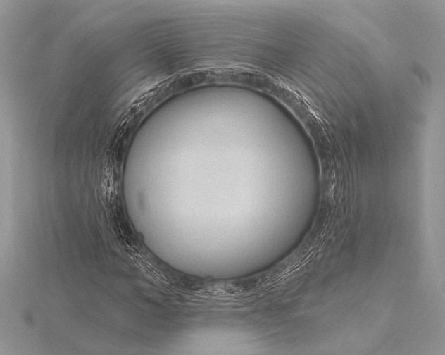 X0000115770966200912041428