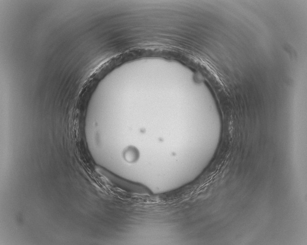 X0000115770968200912041428