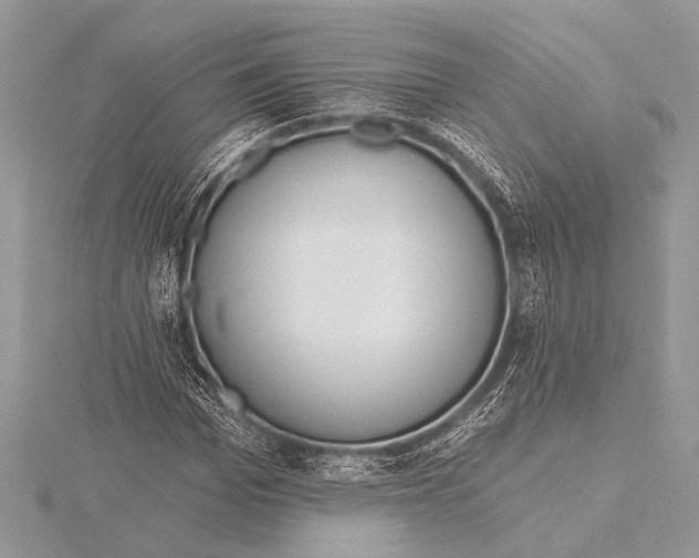 X0000115770969200912041428