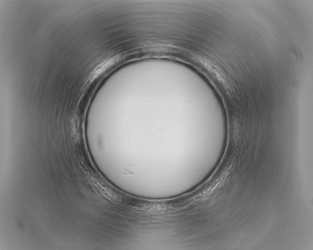 X0000115770970200912041428