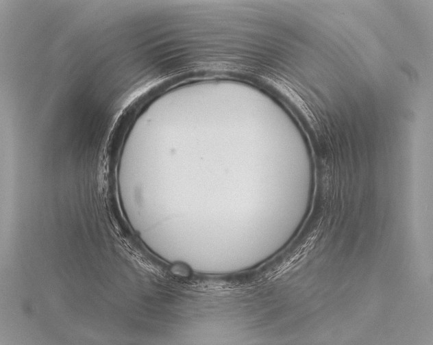 X0000115770971200912041428