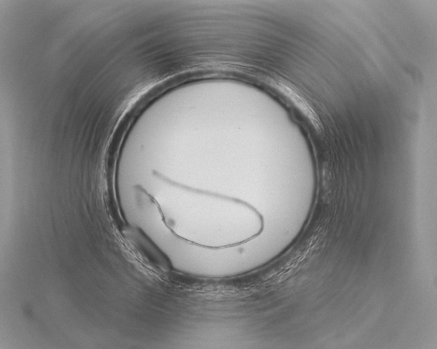 X0000115770972200912041428