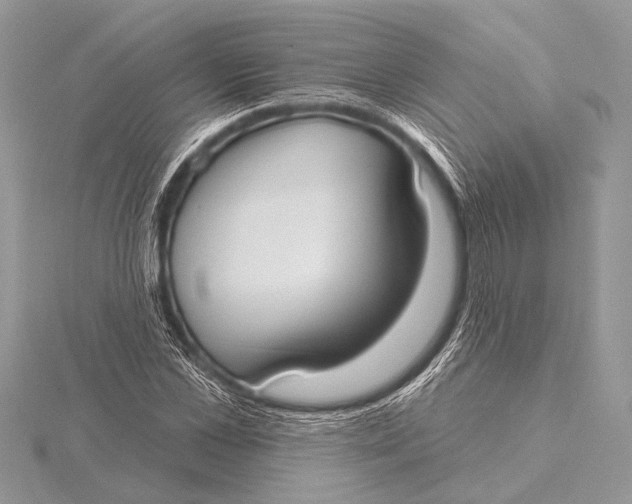 X0000115770973200912041428