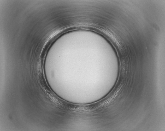 X0000115770974200912041428