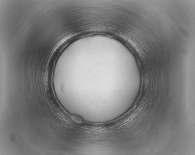 X0000115770975200912041428