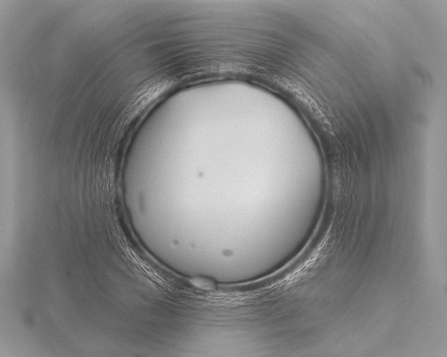 X0000115770977200912041428