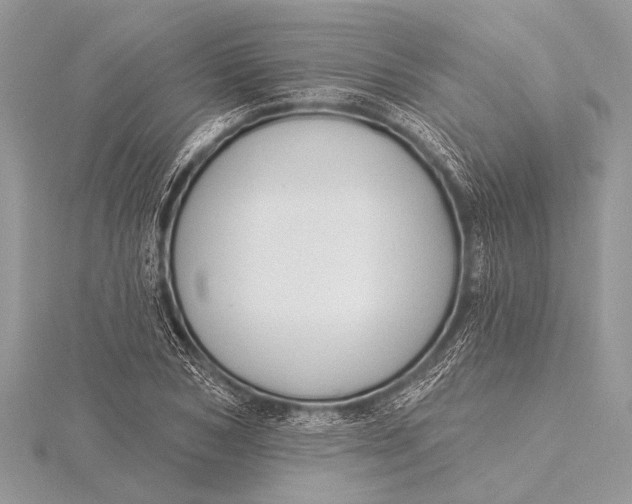 X0000115770978200912041428