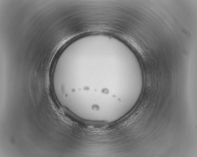 X0000115770980200912041428