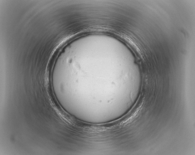 X0000115770981200912041428