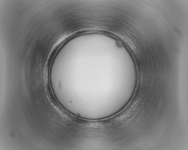 X0000115770982200912041428