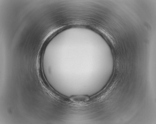 X0000115770983200912041428