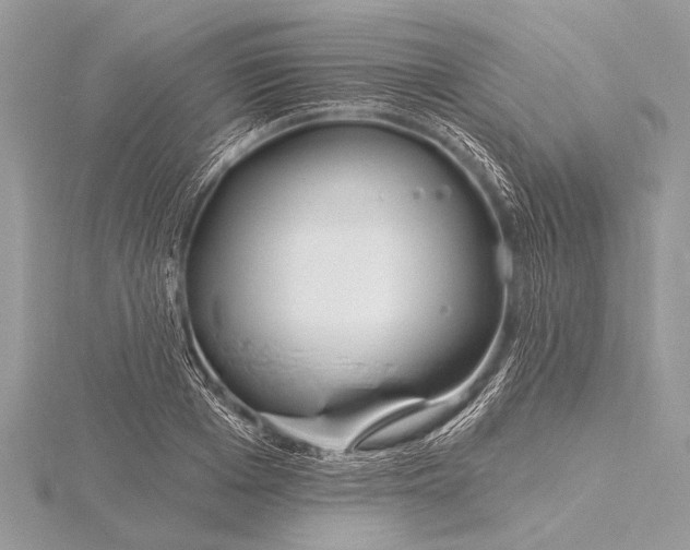 X0000115770985200912041428