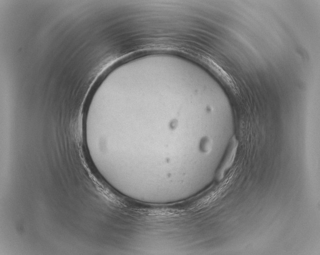 X0000115770988200912041428