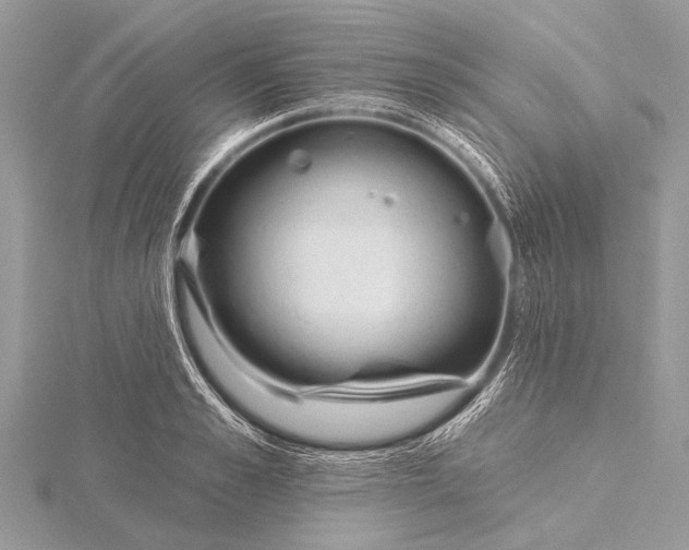 X0000115770989200912041428