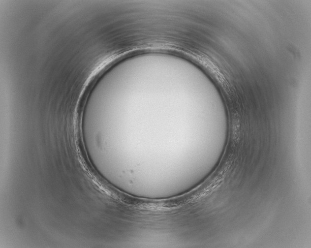 X0000115770990200912041428