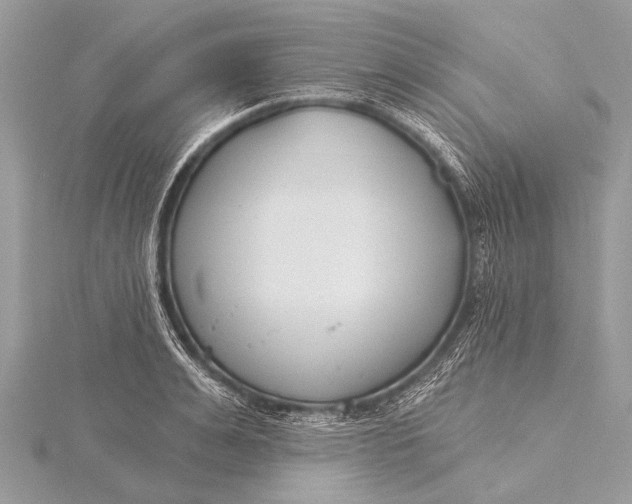 X0000115770991200912041428