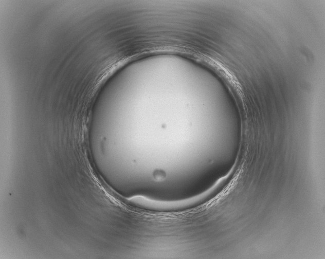 X0000115770993200912041428