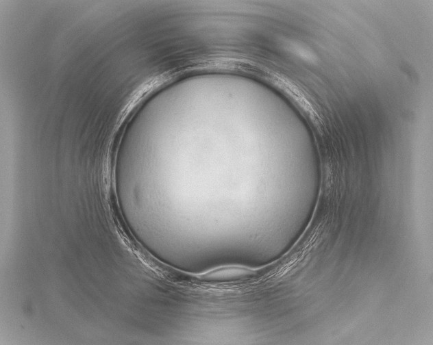 X0000115770994200912041428