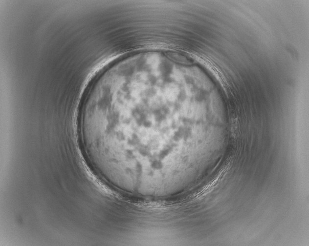 X0000115770995200912041428