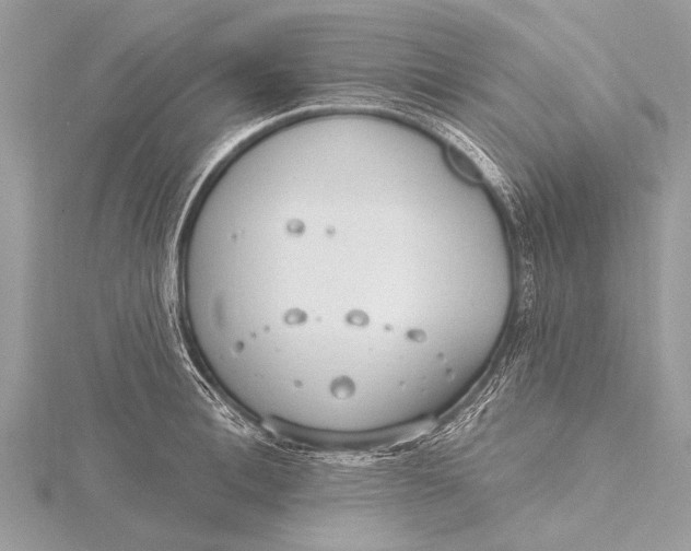 X0000115770996200912041428