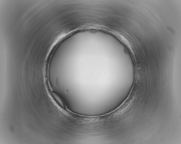 X0000115770997200912041428